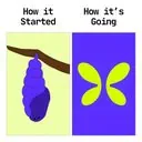 STORY