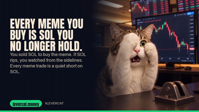 Visuel de lancement de LEVERCAT. La promesse est celle du projet. [9]